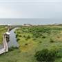 South Padre Island Birding and Nature Center & Alligator Sanctuary