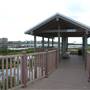 South Padre Island Birding and Nature Center & Alligator Sanctuary