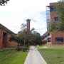 Trinity University