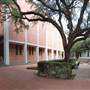 Trinity University