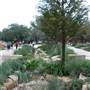 Trinity University