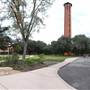 Trinity University