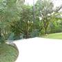 Trinity University