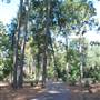 Gayla Mize Garden