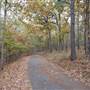 Davey Dogwood Park