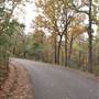 Davey Dogwood Park