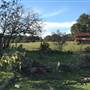 Old Ponderosa Ranch