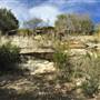 Old Ponderosa Ranch