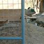 Animal World and Snake Farm