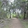Cedar Hill State Park