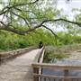 Cedar Hill State Park