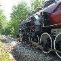 Texas State Railroad