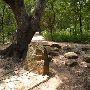 Zilker Botanical Gardens