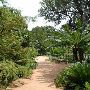 Zilker Botanical Gardens