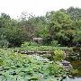 Zilker Botanical Gardens