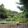 Zilker Botanical Gardens