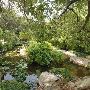 Zilker Botanical Gardens
