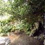 Zilker Botanical Gardens