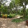 Zilker Botanical Gardens