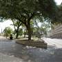 Travis Park