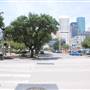 Root Square