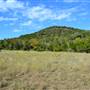 Madrone Ranch