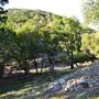 Madrone Ranch