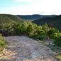 Madrone Ranch
