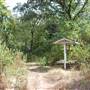 Quitman Arboretum