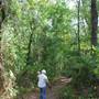Quitman Arboretum
