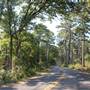 Tyler State Park