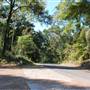 Tyler State Park