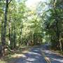 Tyler State Park