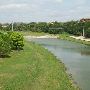 North Main Street on Trinity River