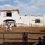 Stockyards Station