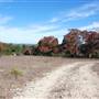 Henly Hill Ranch