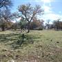 Henly Hill Ranch