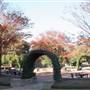 McLennan Community College