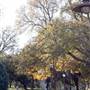 McLennan Community College