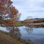 Longhorn River Ranch