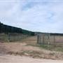 Longhorn River Ranch