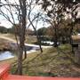 Longhorn River Ranch