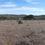 Longhorn River Ranch