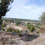 Longhorn River Ranch