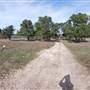 Longhorn River Ranch