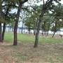 Lake Bastrop - North Shore Park