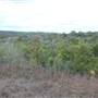 McKinney Roughs Nature Park