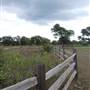 McKinney Roughs Nature Park