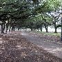 Hermann Park