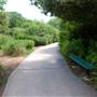 World Birding Center